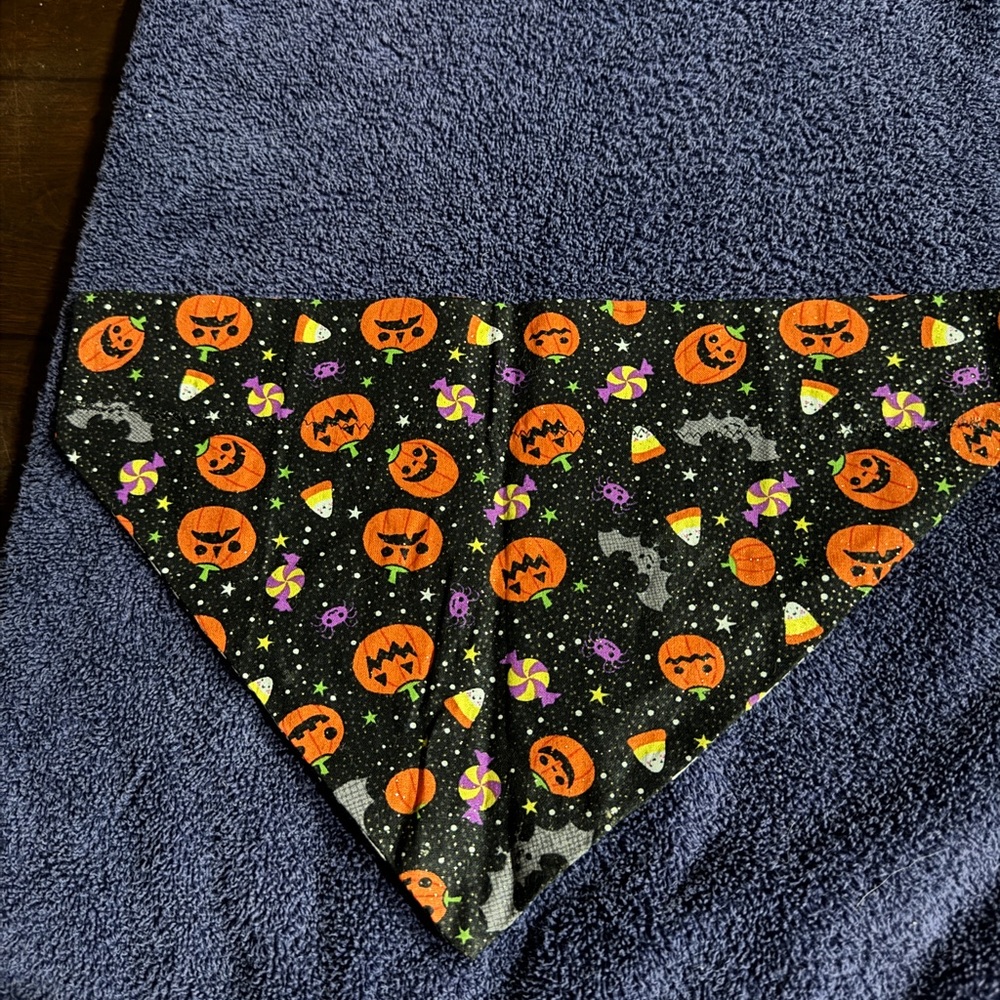 Halloween Themed Reversible Dog Bandana